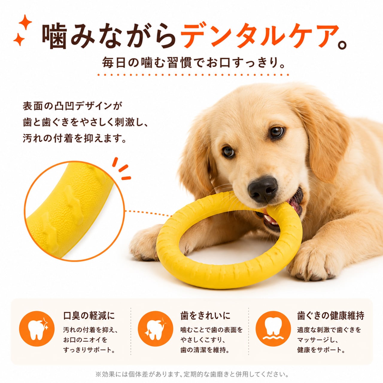 S  65  .犬用デンタルおもちゃ｜耐噛み・ひとり遊び・知育トイ