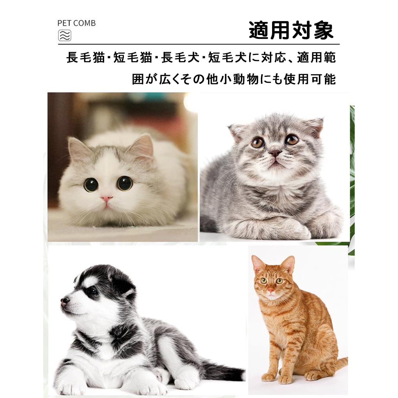 夏のペットケア用フェイスコーム｜猫・犬兼用 細目コーム 黒あごケア 快適設計 顔周り・目元・口元のお手入れブラシ