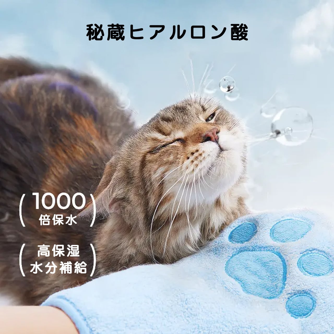 猫専用洗い流し不要エッセンス｜簡単ケアで除菌・消臭・ダニ対策｜夏・梅雨時期向け