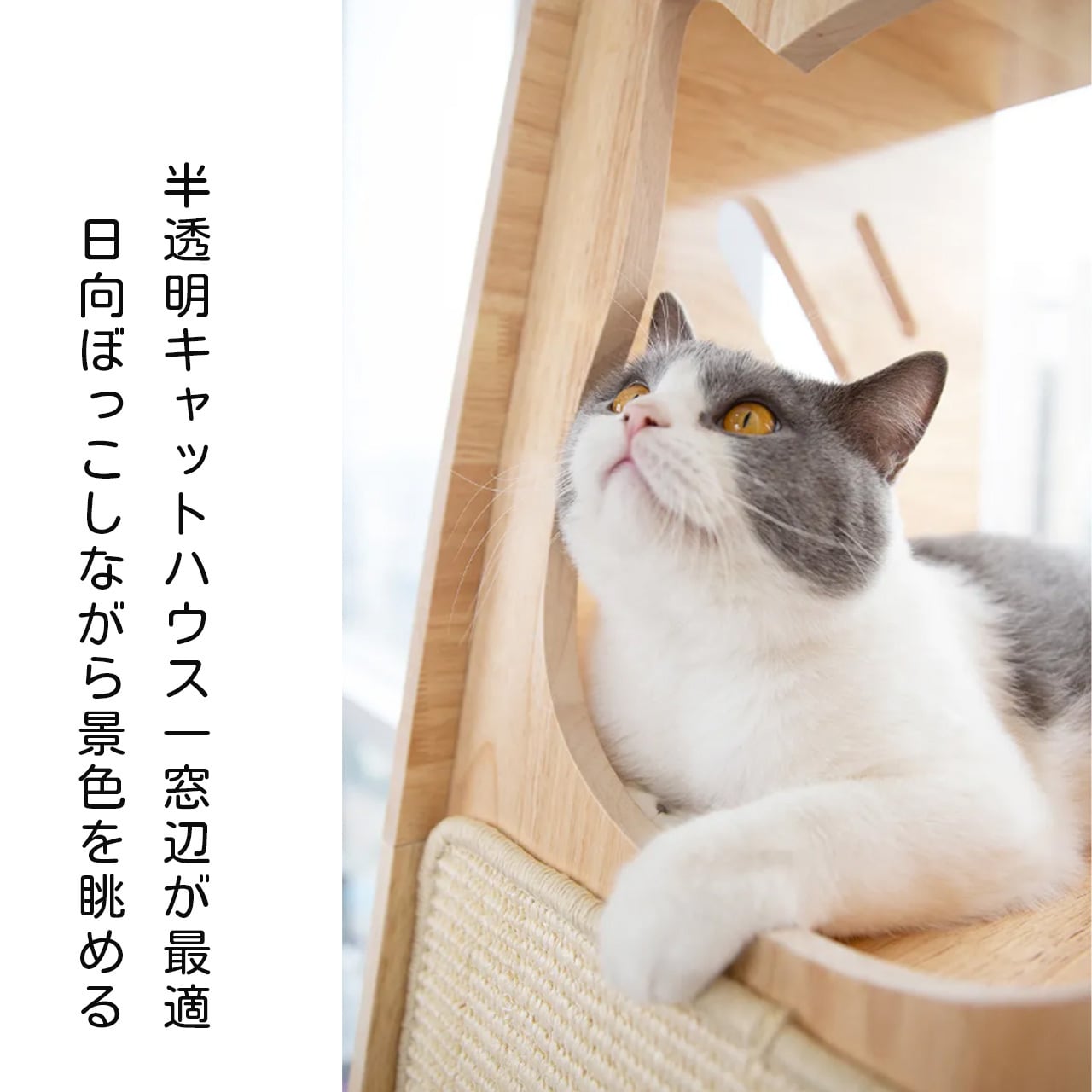 壁際キャットタワー 天然木製 省スペース キャットハウス付き スクラッチボード 小さい部屋向け キャットベッド・キャットトイ一体