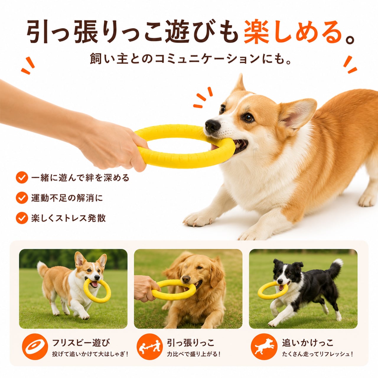 S  65  .犬用デンタルおもちゃ｜耐噛み・ひとり遊び・知育トイ
