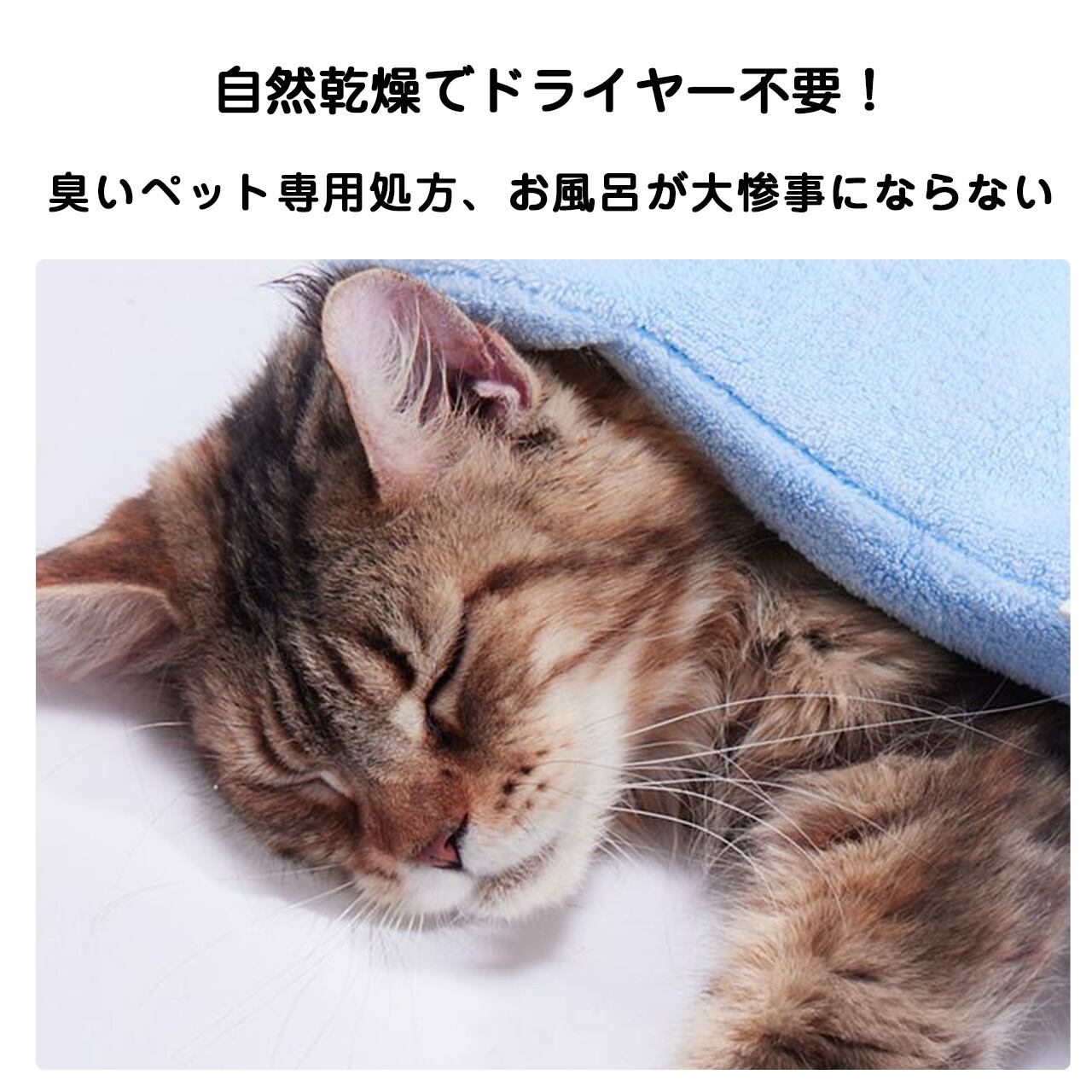 猫専用洗い流し不要エッセンス｜簡単ケアで除菌・消臭・ダニ対策｜夏・梅雨時期向け
