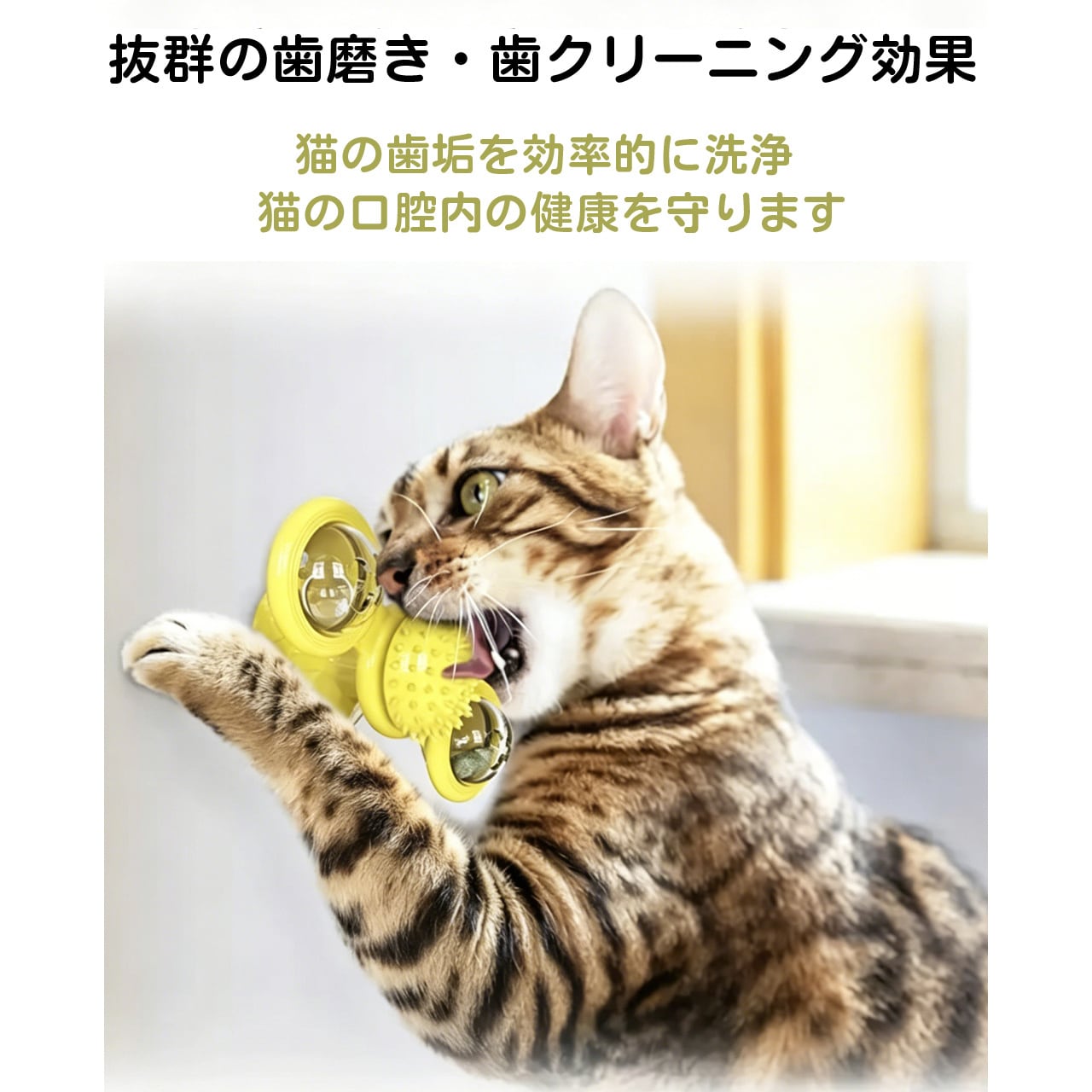 猫用おもちゃ 回転風車付きじゃらし 一人遊び ストレス解消 猫じゃらし 吸盤式 ネコ用品 子猫 成猫対応