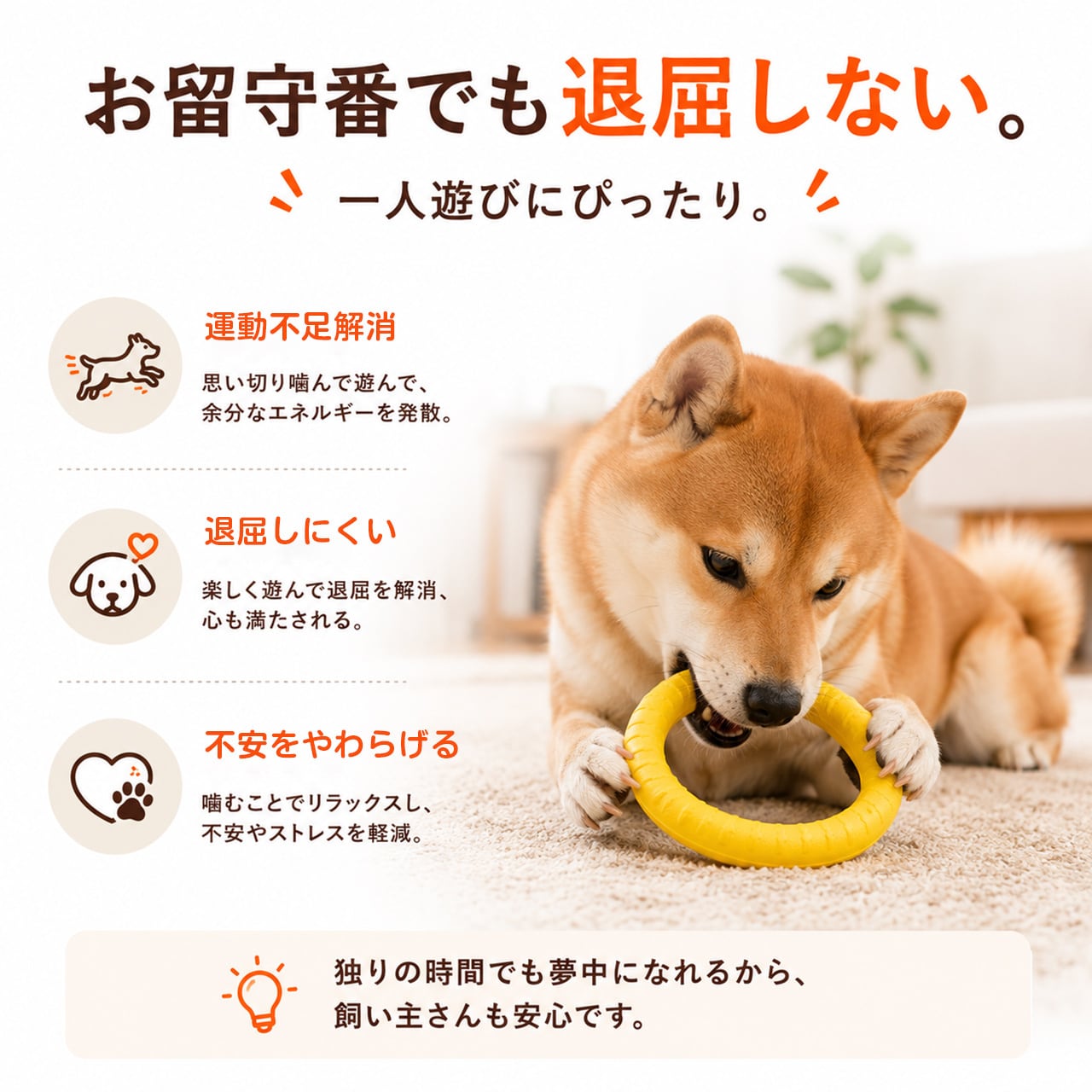S  65  .犬用デンタルおもちゃ｜耐噛み・ひとり遊び・知育トイ