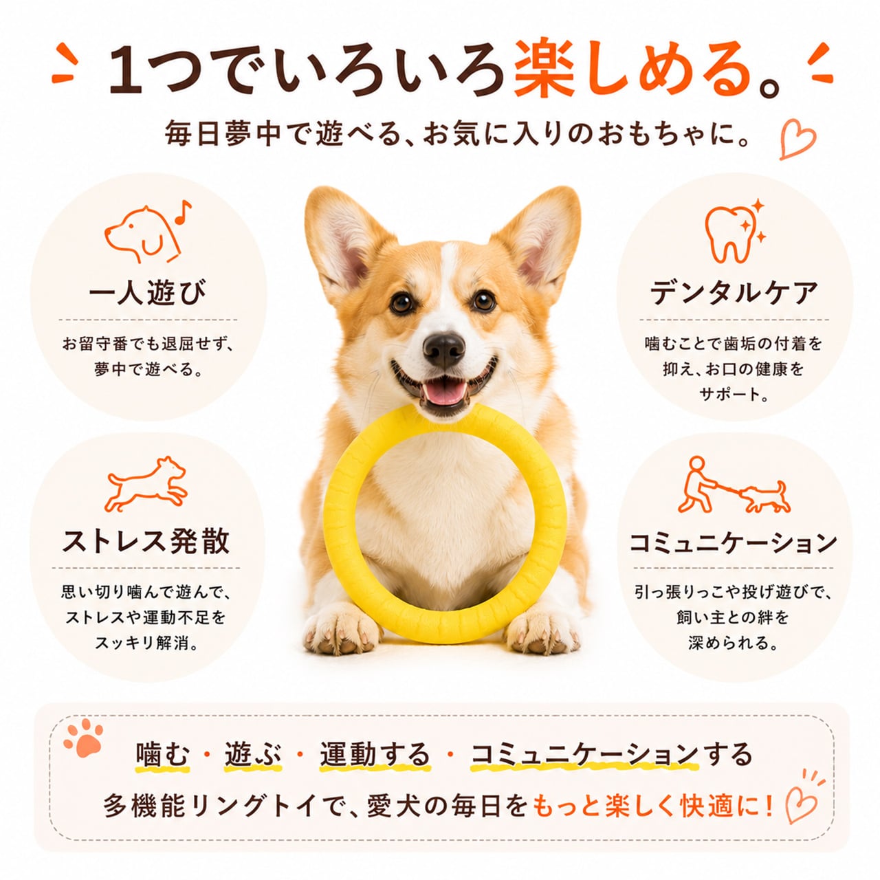 S  65  .犬用デンタルおもちゃ｜耐噛み・ひとり遊び・知育トイ
