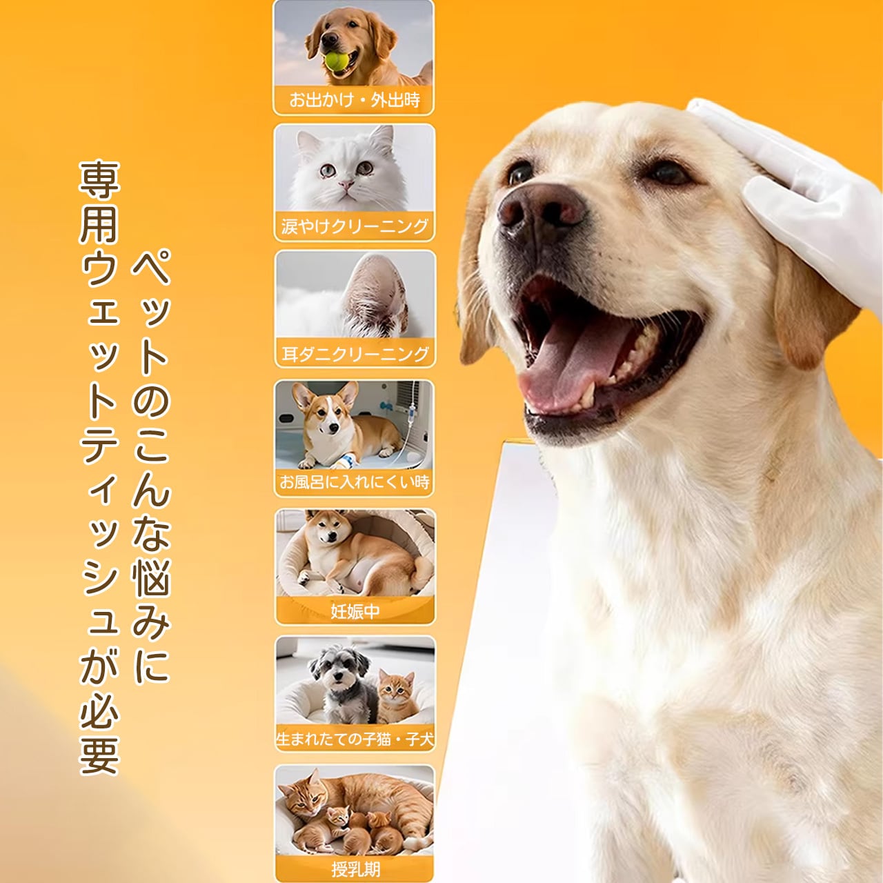 ペット用ノーウォッシュクリーニンググローブ 犬猫兼用 大容量 厚手 入浴・除菌シート