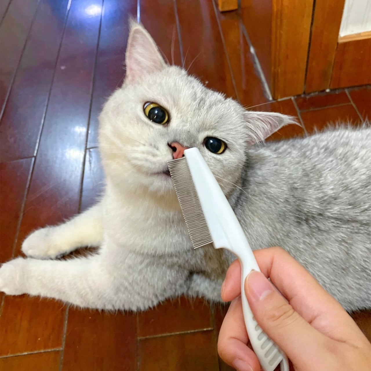 夏のペットケア用フェイスコーム｜猫・犬兼用 細目コーム 黒あごケア 快適設計 顔周り・目元・口元のお手入れブラシ