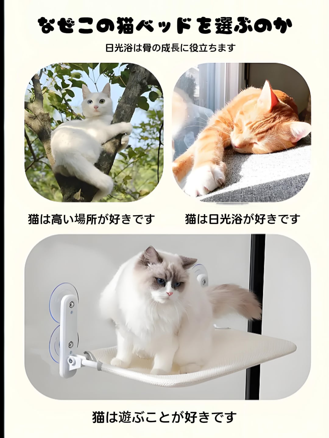 猫の日光浴の夢を叶える。しっかり吸着する窓辺ハンモック 2仕様。