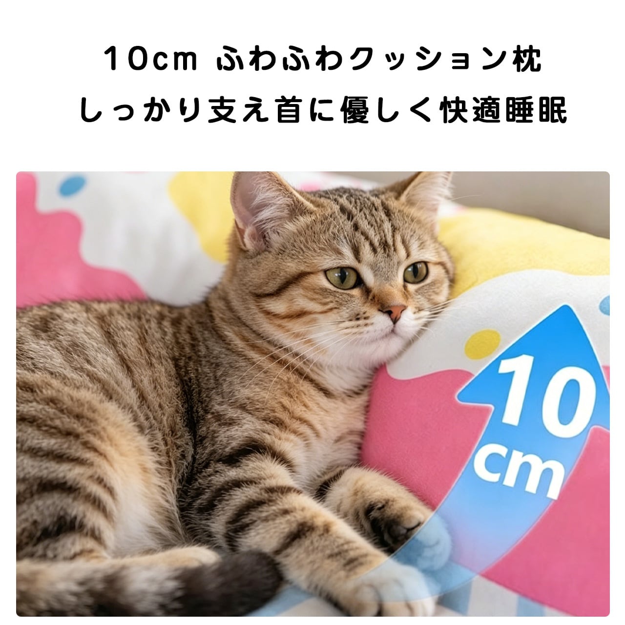 折りたたみプリンセス風ペットマット 夏用 涼しい・通気性 防水・洗える 小型・中型犬・猫用ベッド