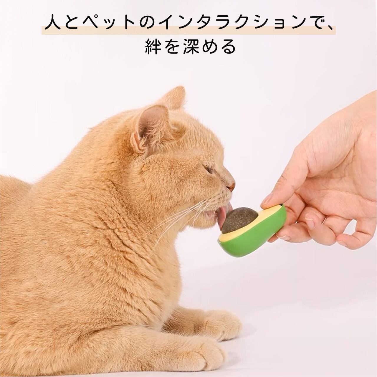 ハッカボール アボカドペロペロトイ 仔猫用耐咬 歯磨き解闷ネコおもちゃ