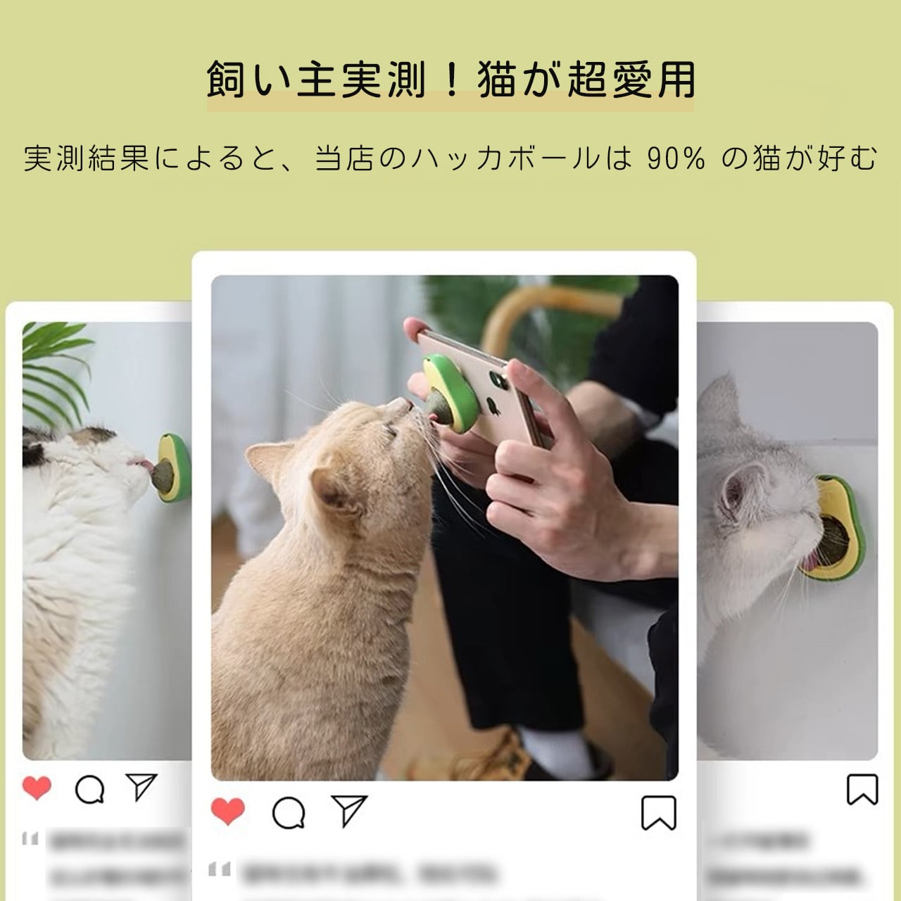 ハッカボール アボカドペロペロトイ 仔猫用耐咬 歯磨き解闷ネコおもちゃ