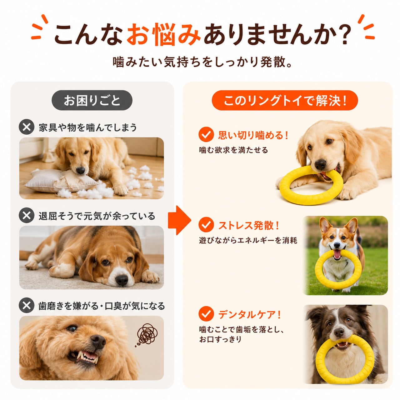 S  65  .犬用デンタルおもちゃ｜耐噛み・ひとり遊び・知育トイ