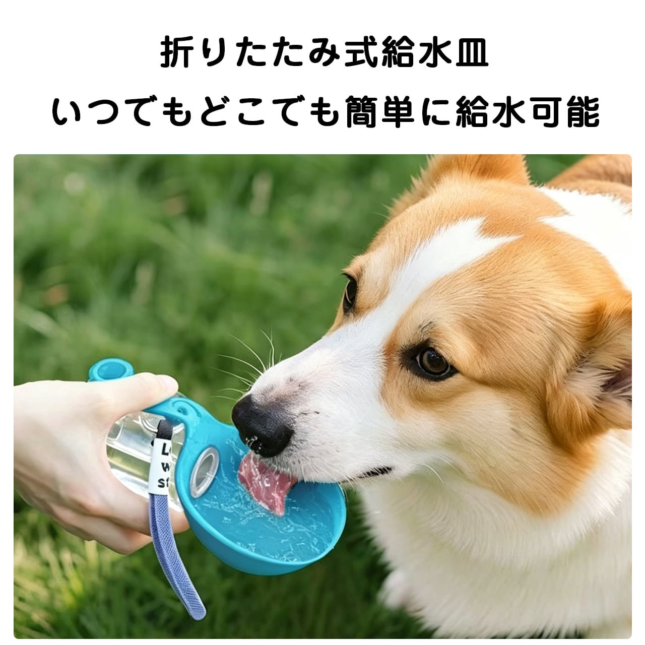 S 66  .春夏新作 犬用携帯水筒｜折りたたみボウル型ペットウォーターボトル 外出お散歩用必須アイテム