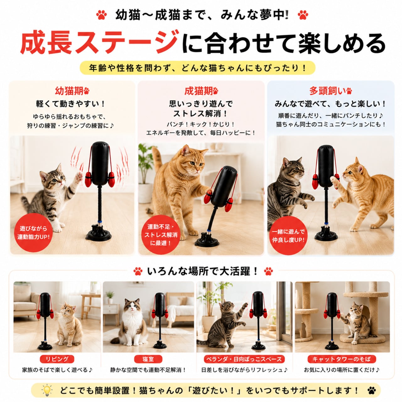 子猫用ボクシング吸盤付き猫じゃらし